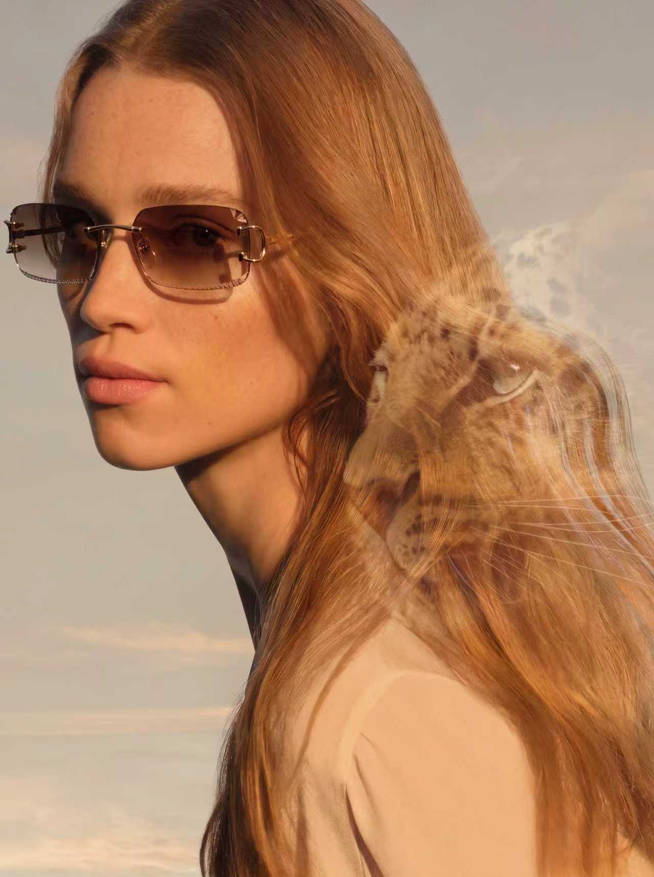 Designer Sunglasses CT0801S