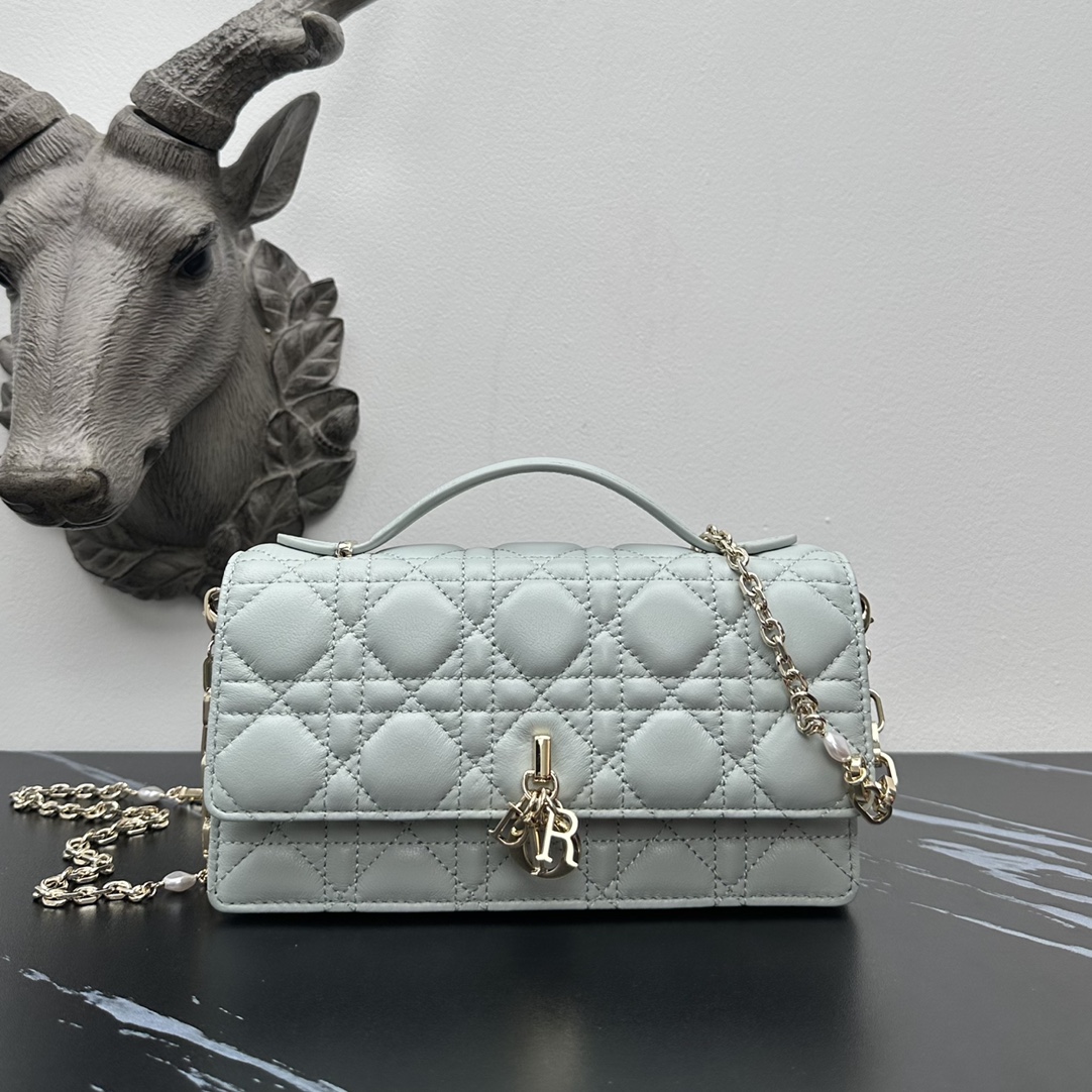 Dior lady handle chain/clutch bag