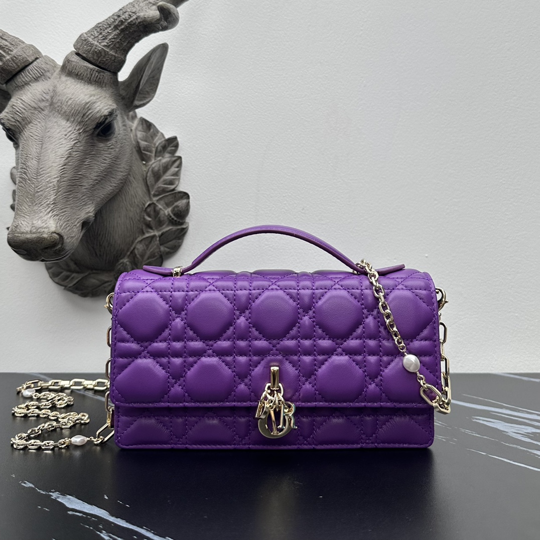 Dior lady handle chain/clutch bag