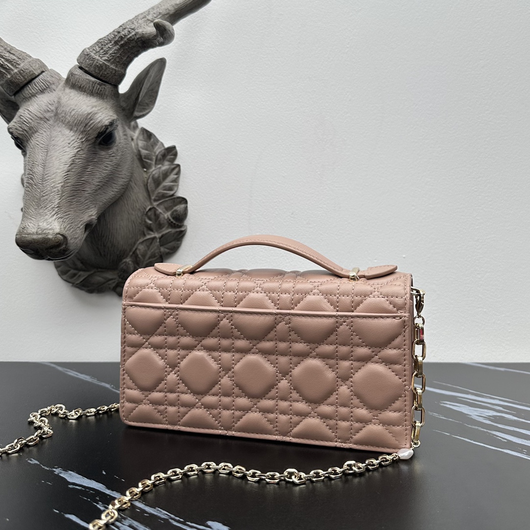 Dior lady handle chain/clutch bag