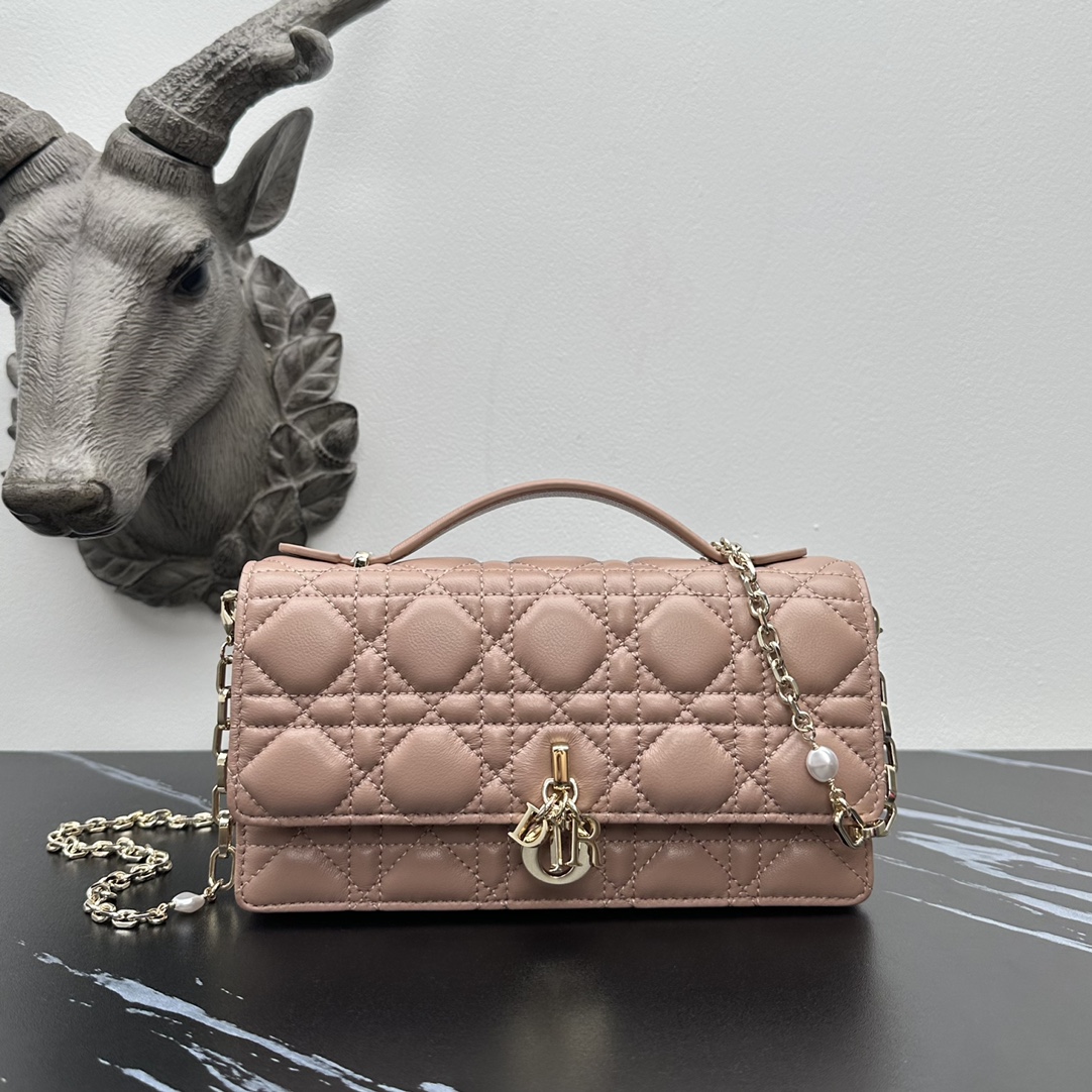Dior lady handle chain/clutch bag