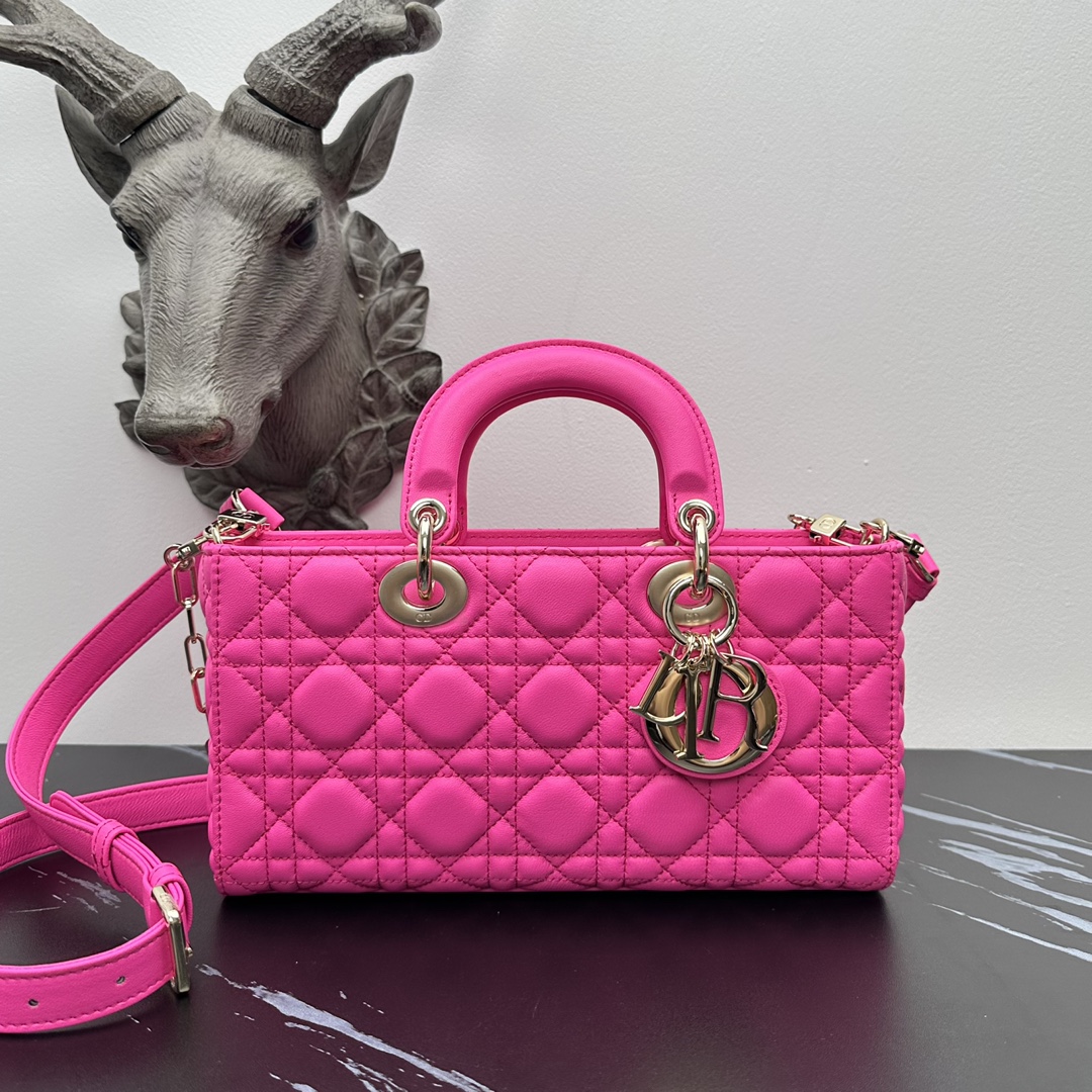 Italian lambskin Dior d-joy bag series