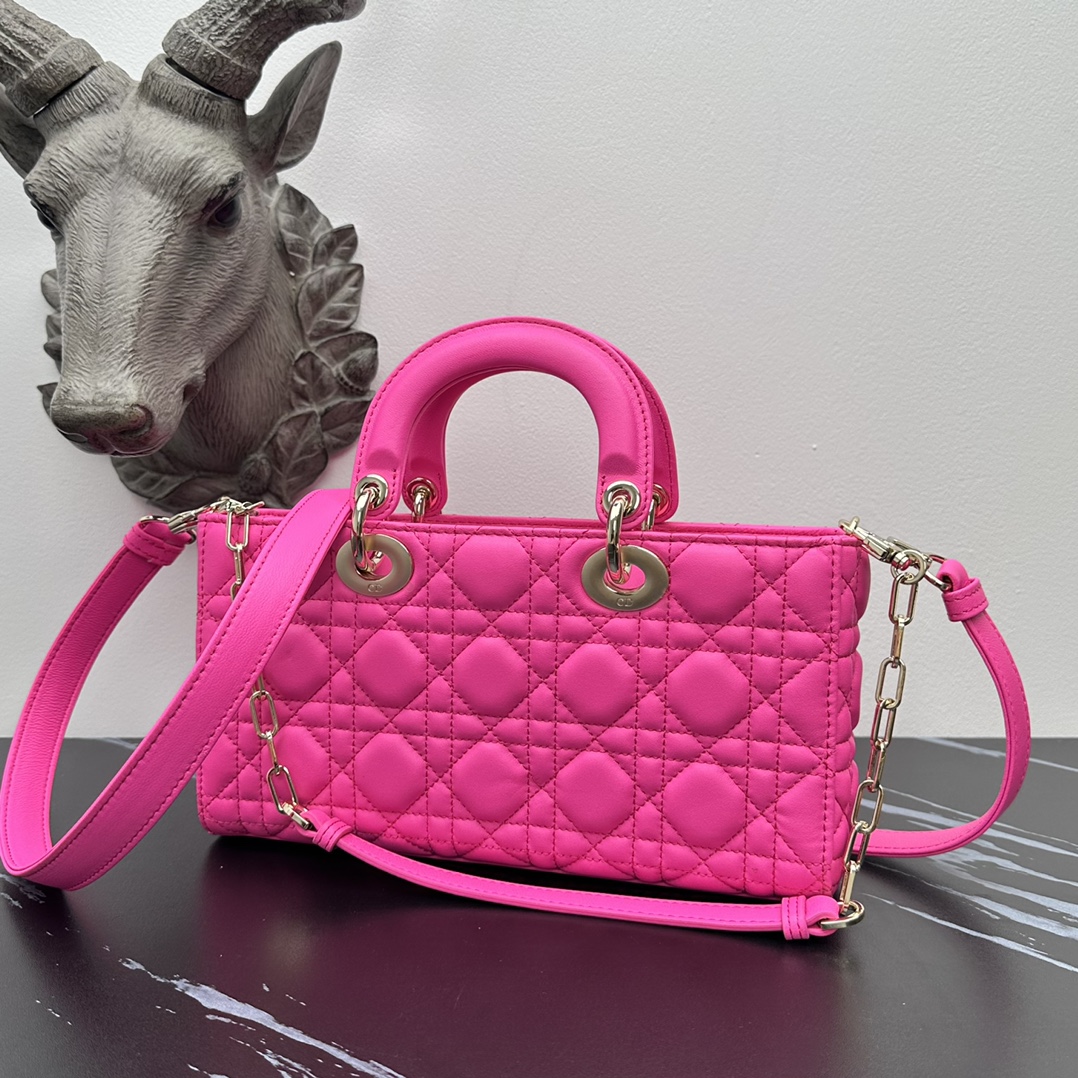 Italian lambskin Dior d-joy bag series