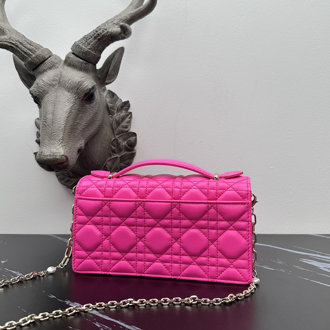 Dior lady handle chain/clutch bag