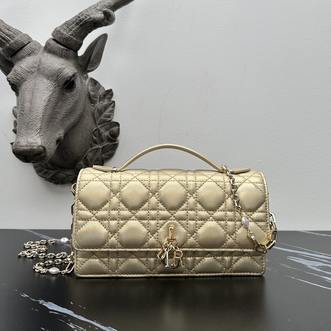 Dior lady handle chain/clutch bag