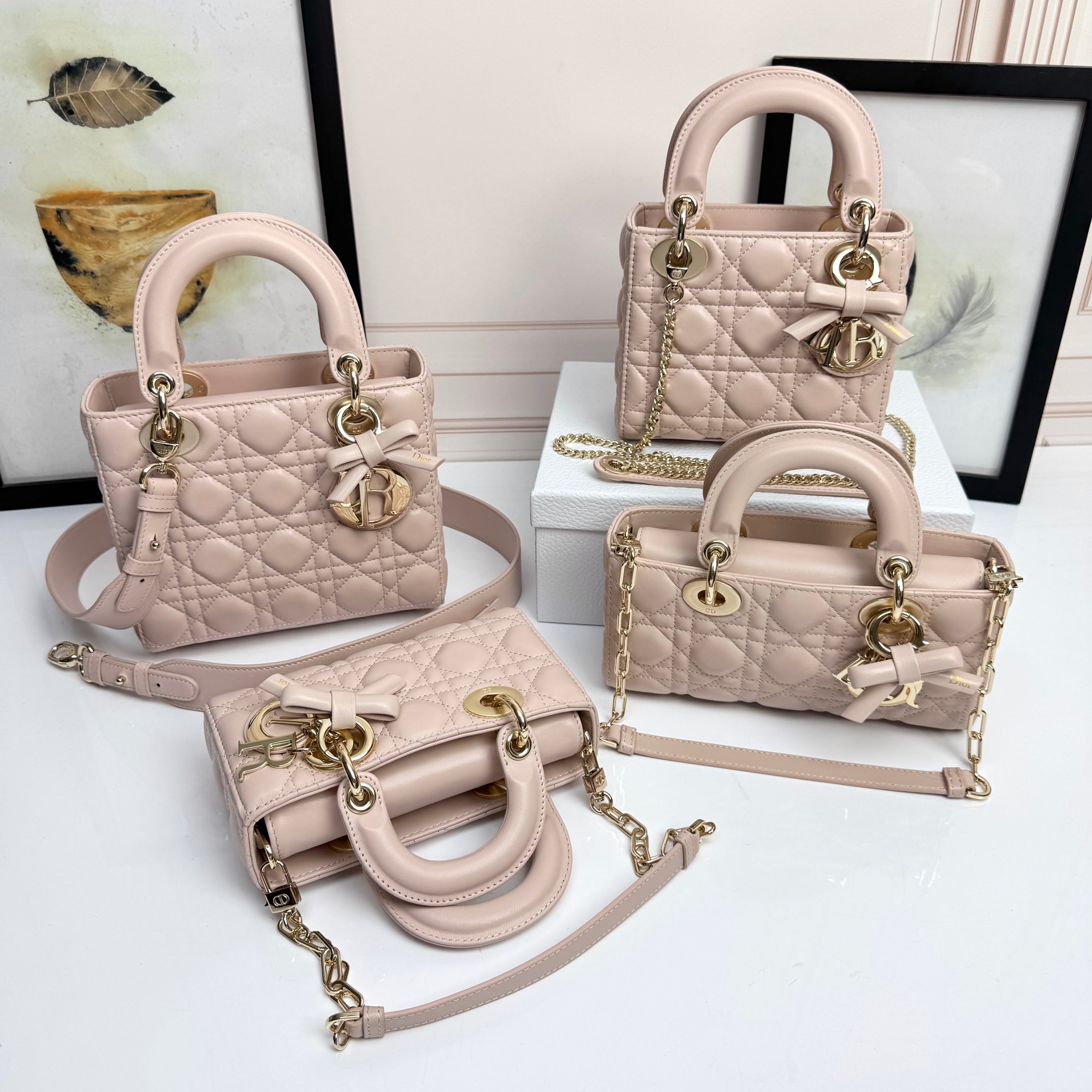 𝐃𝐢𝐨𝐫 𝐋𝐚𝐝𝐲 nueva imagen de combinación de polvo de colorete de arco