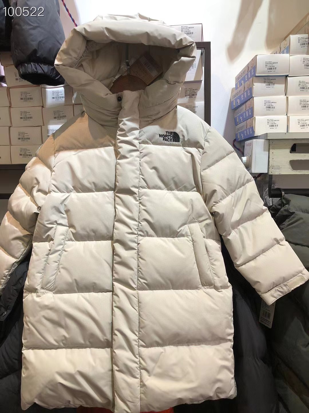 Rare Aoshima Velvet North-Face Suit for Kids: Review and Price. - 图片 2