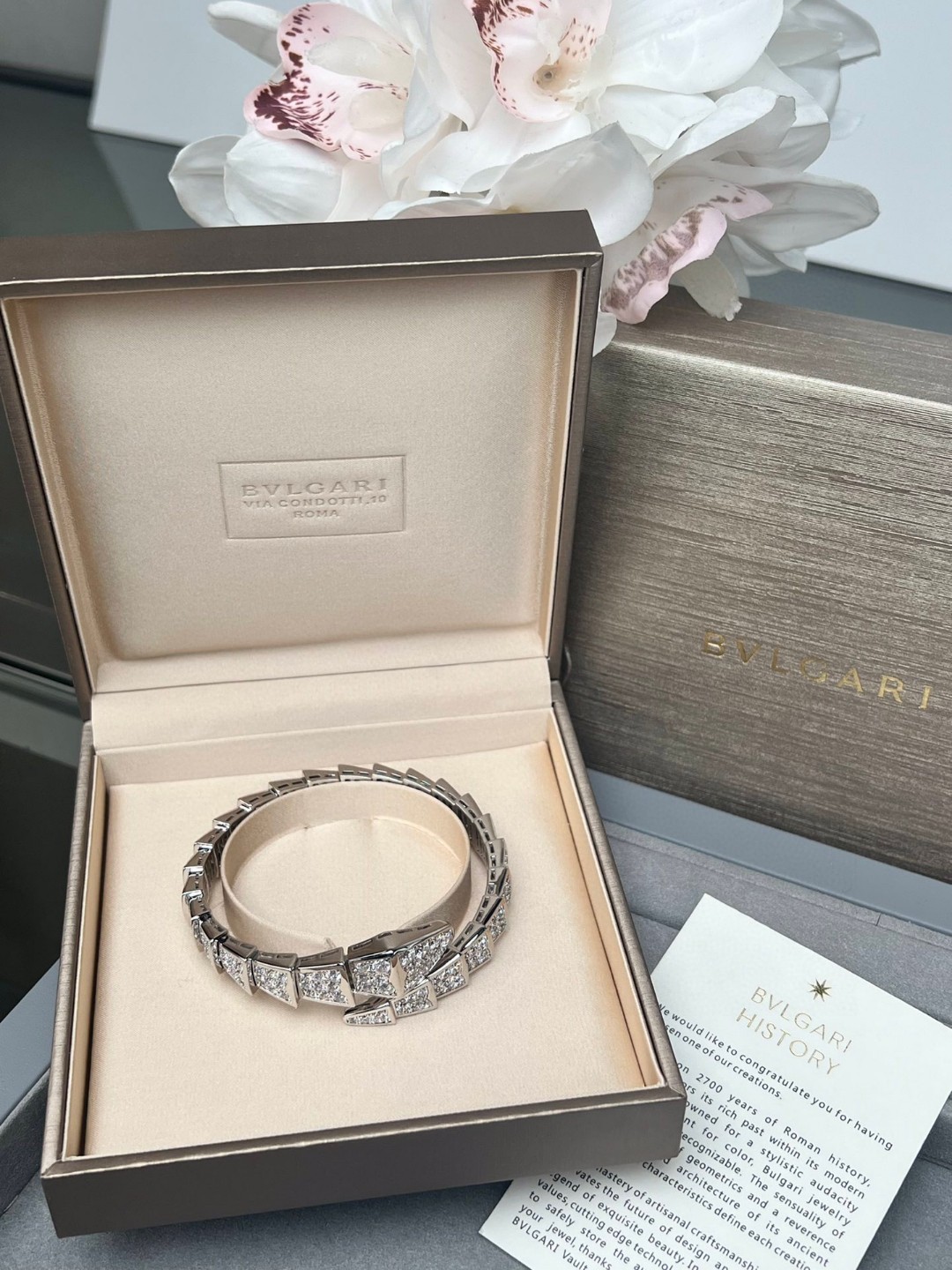 Exquisite Design: BV Snake Bracelet Captured in Poaching 850 Collection - 图片 5