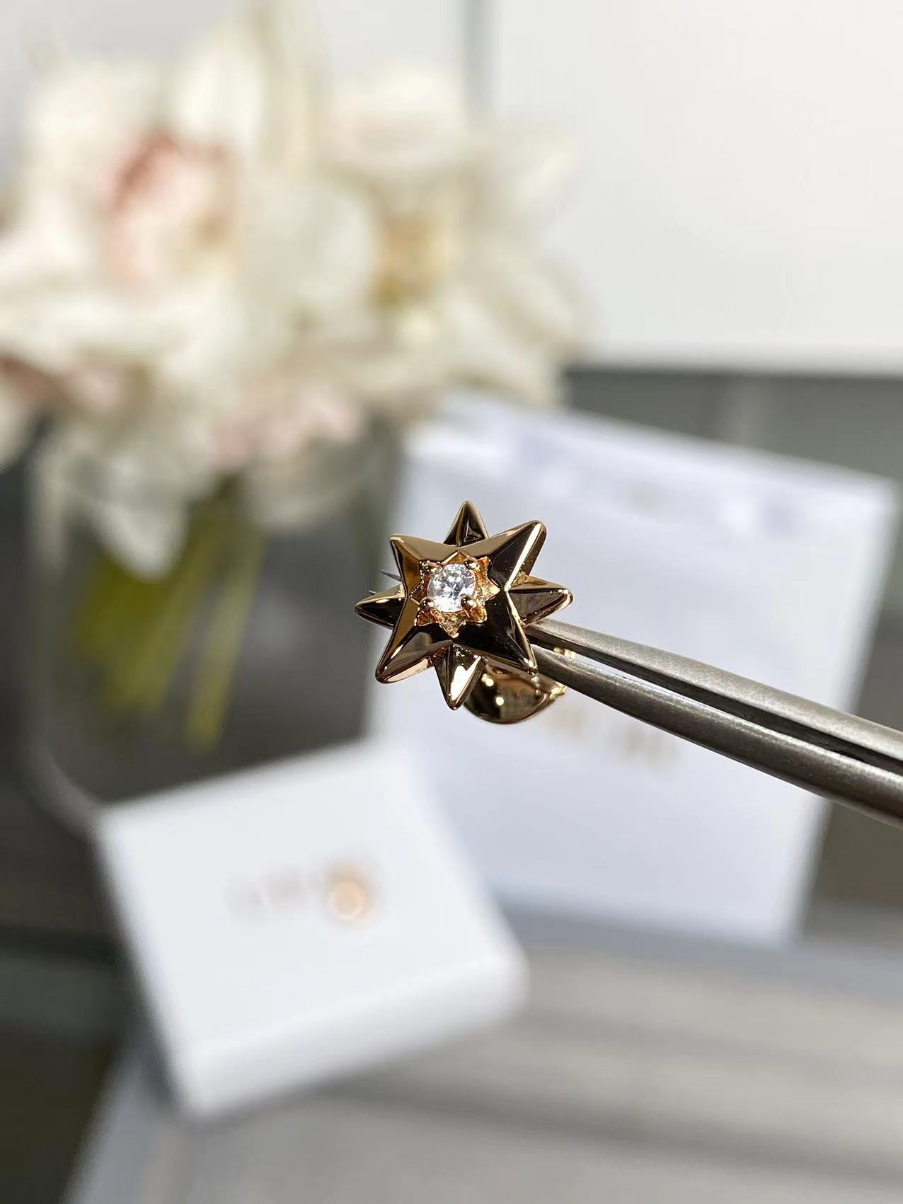 批发价💰120
Dior Étoile des Vents 耳钉
Étoile des Vents重新诠释罗盘玫瑰图案
富有象征意义的罗盘玫瑰幸运星