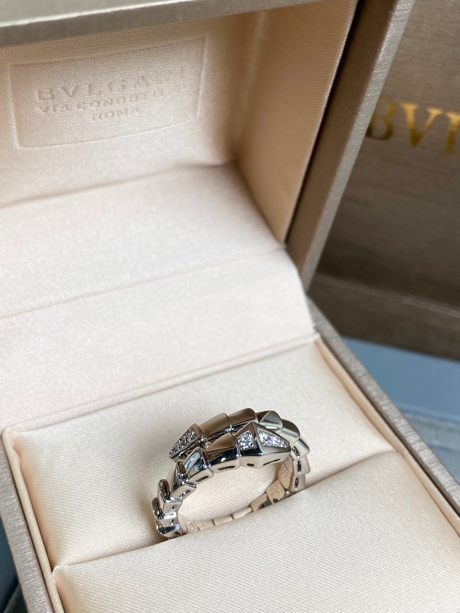 (new) Wholesale price 238💰 Serphonti Vischer’s tail-drilling ring (S, M, L) - 图片 4