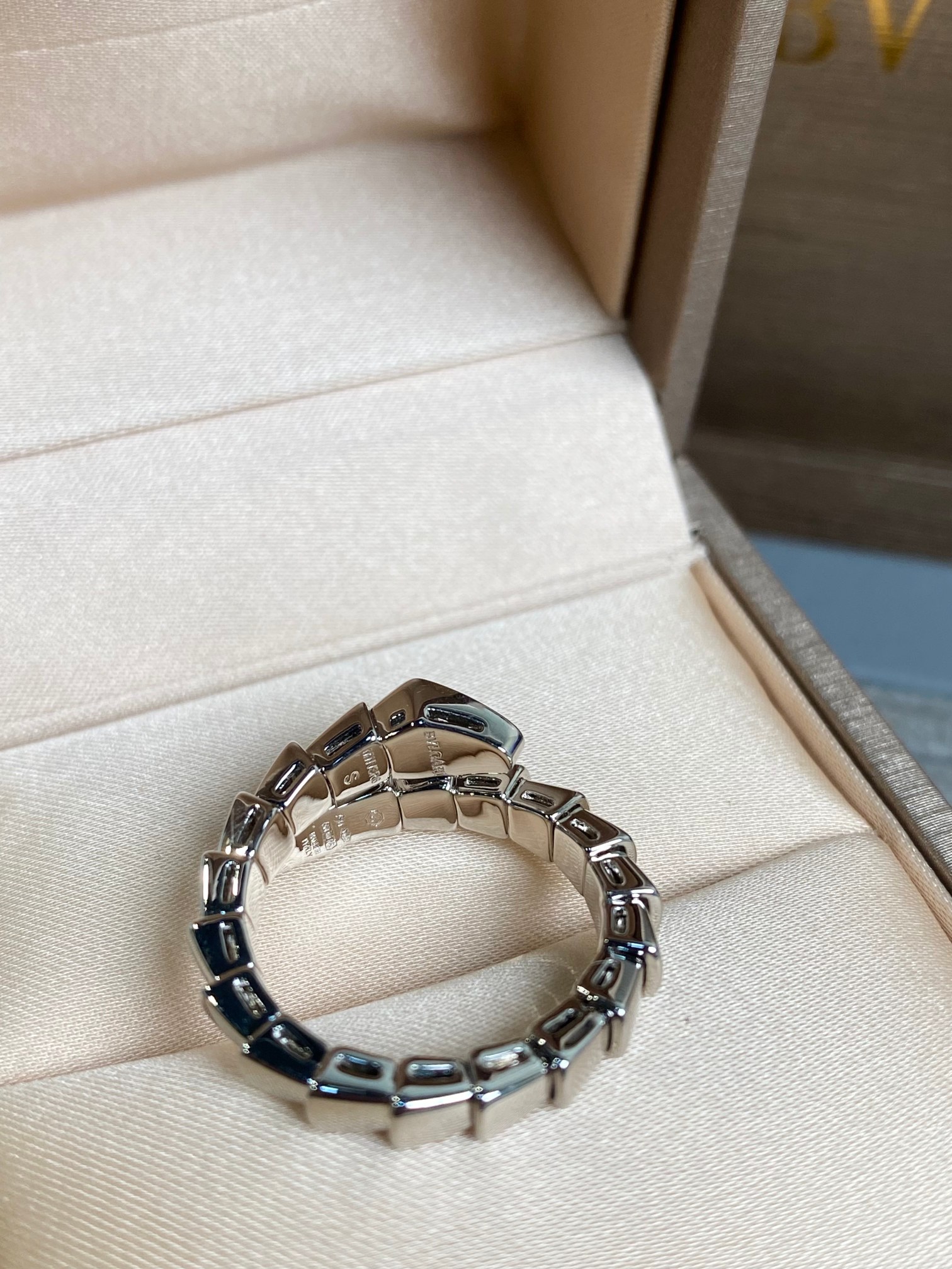 (new) Wholesale price 238💰 Serphonti Vischer’s tail-drilling ring (S, M, L) - 图片 1