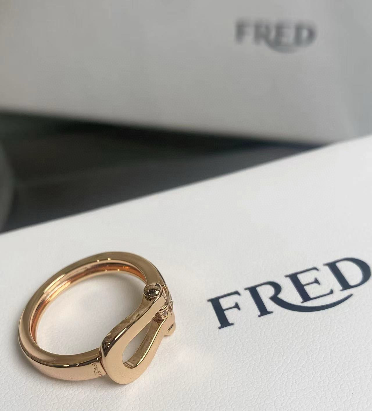p188 The size of the ring 5678 between FRDE Feld’s hooves - 图片 3