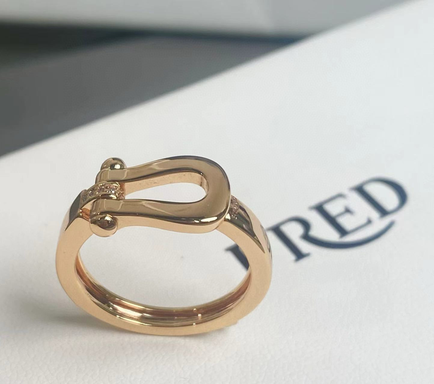 p188 The size of the ring 5678 between FRDE Feld’s hooves - 图片 5