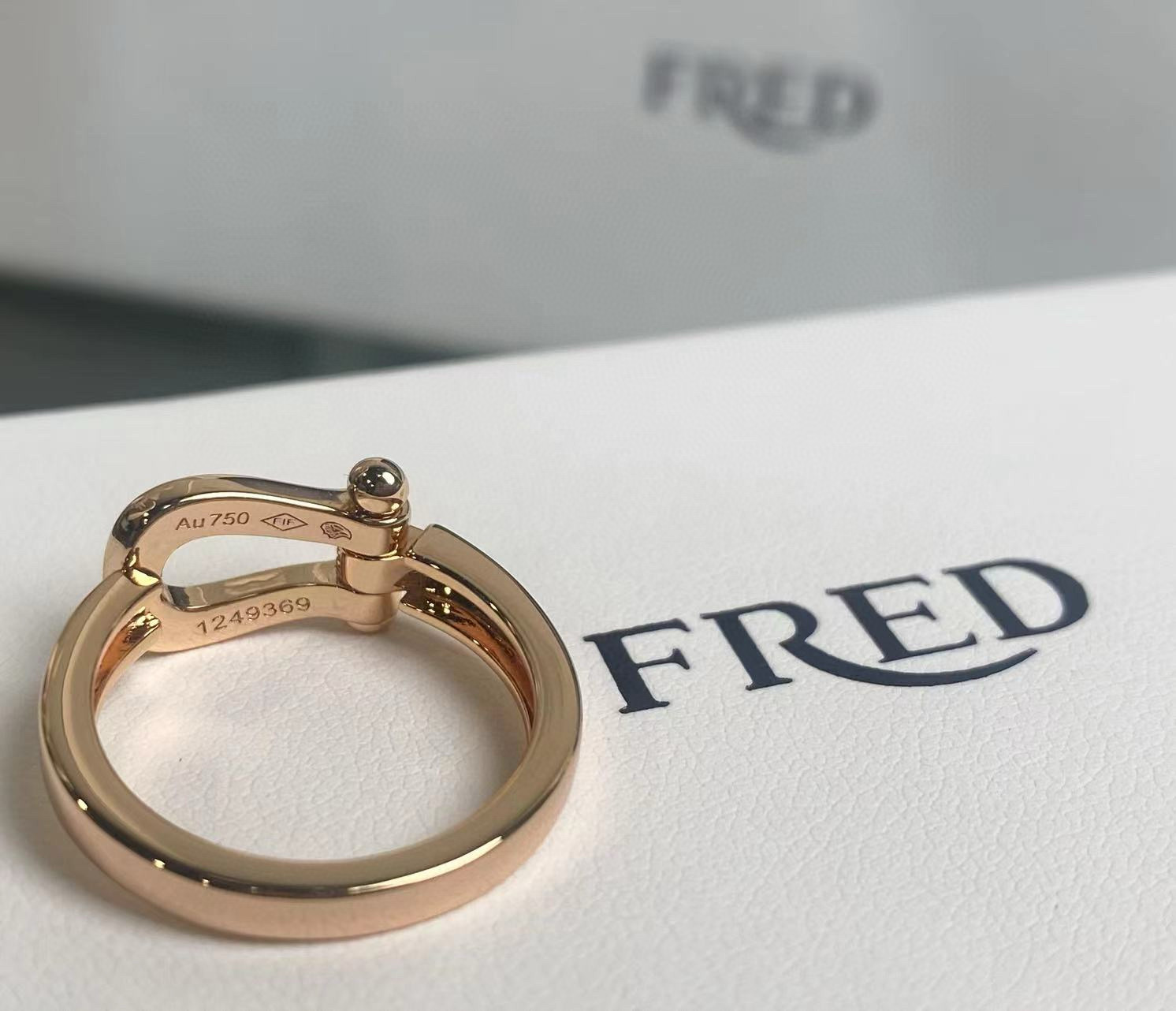 p188 The size of the ring 5678 between FRDE Feld’s hooves - 图片 2