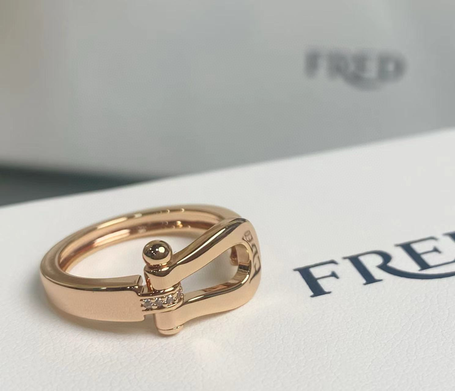 p188 The size of the ring 5678 between FRDE Feld’s hooves - 图片 4