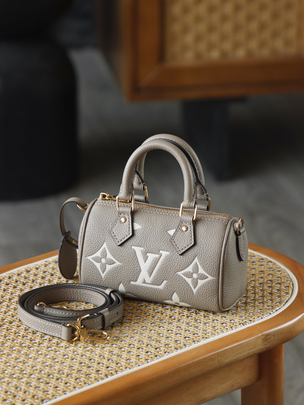 Louis Vuitton Nano Speedy Handbag in Elephant Grey Empreinte Leather