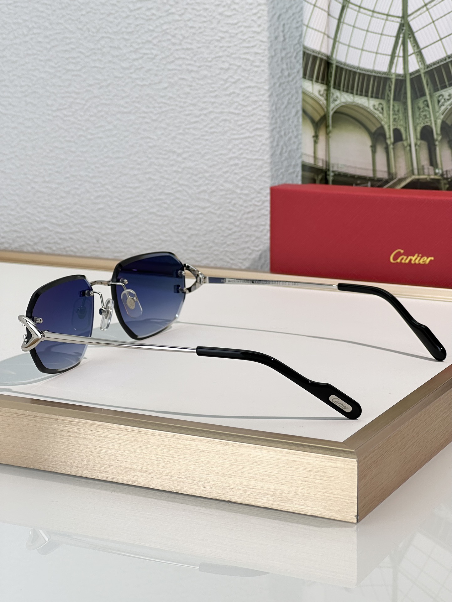 Designer Sunglasses CT0468S