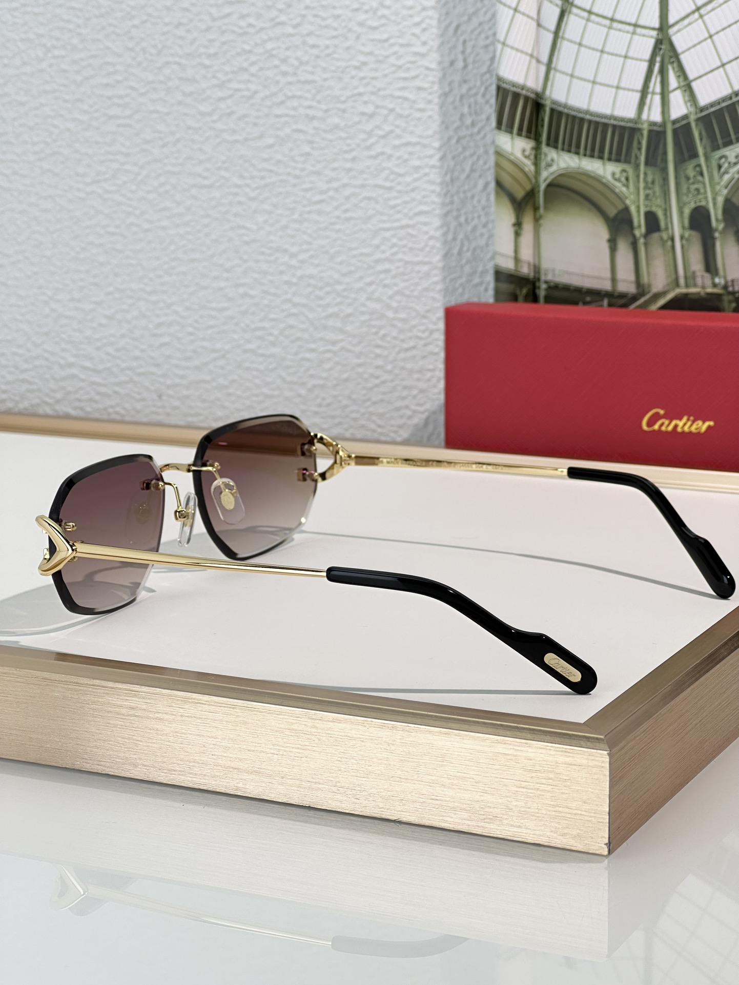 Designer Sunglasses CT0468S