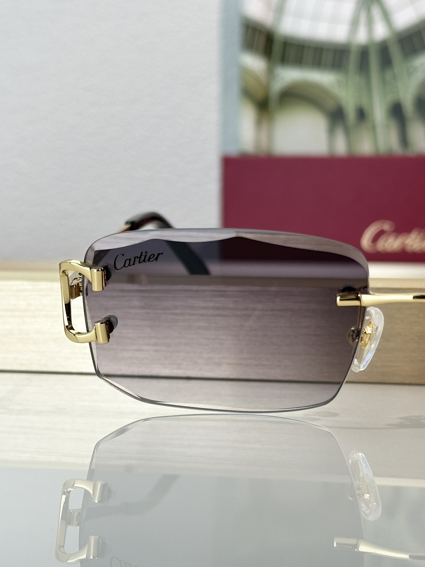 Designer Sunglasses CT0092O