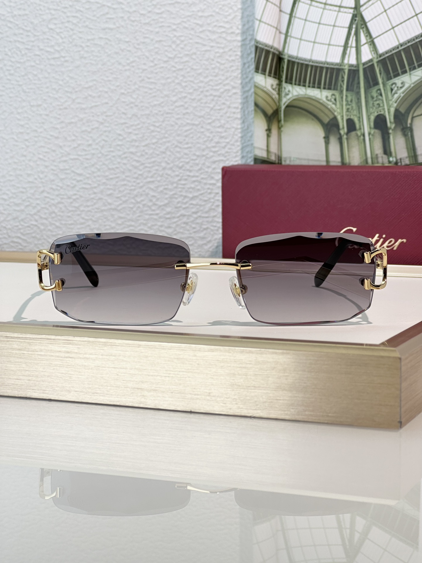 Designer Sunglasses CT0092O