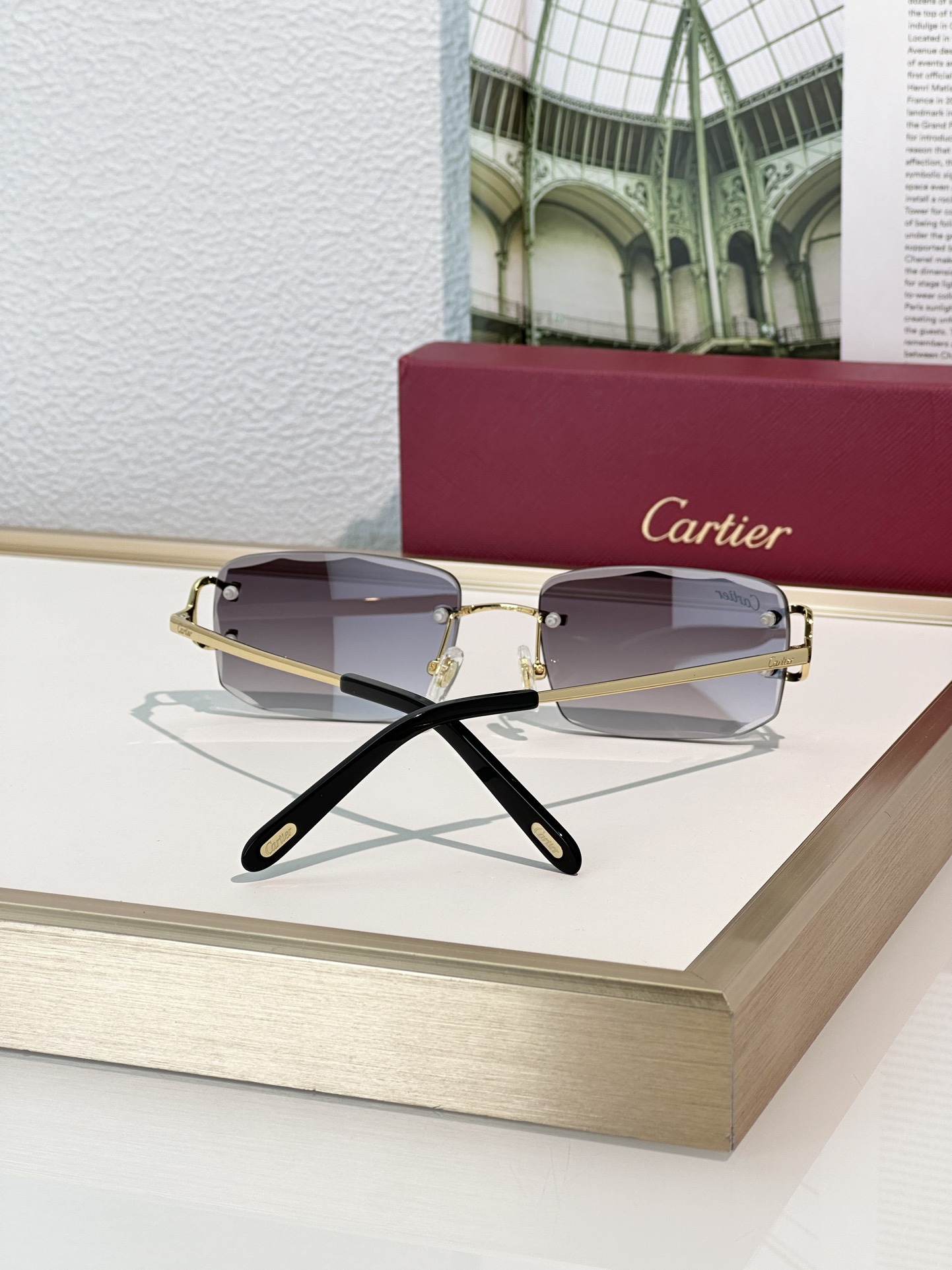 Designer Sunglasses CT0092O