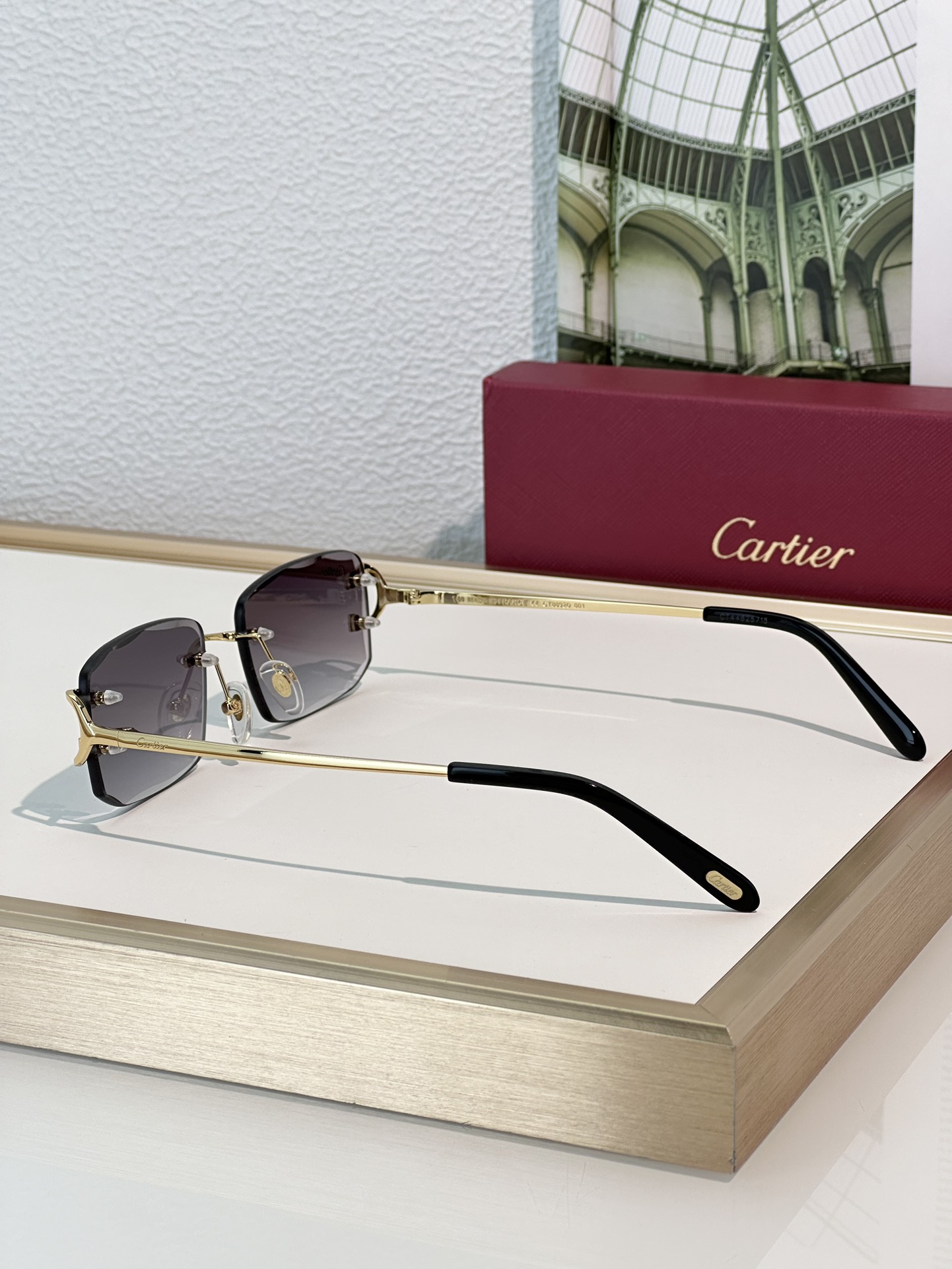 Designer Sunglasses CT0092O
