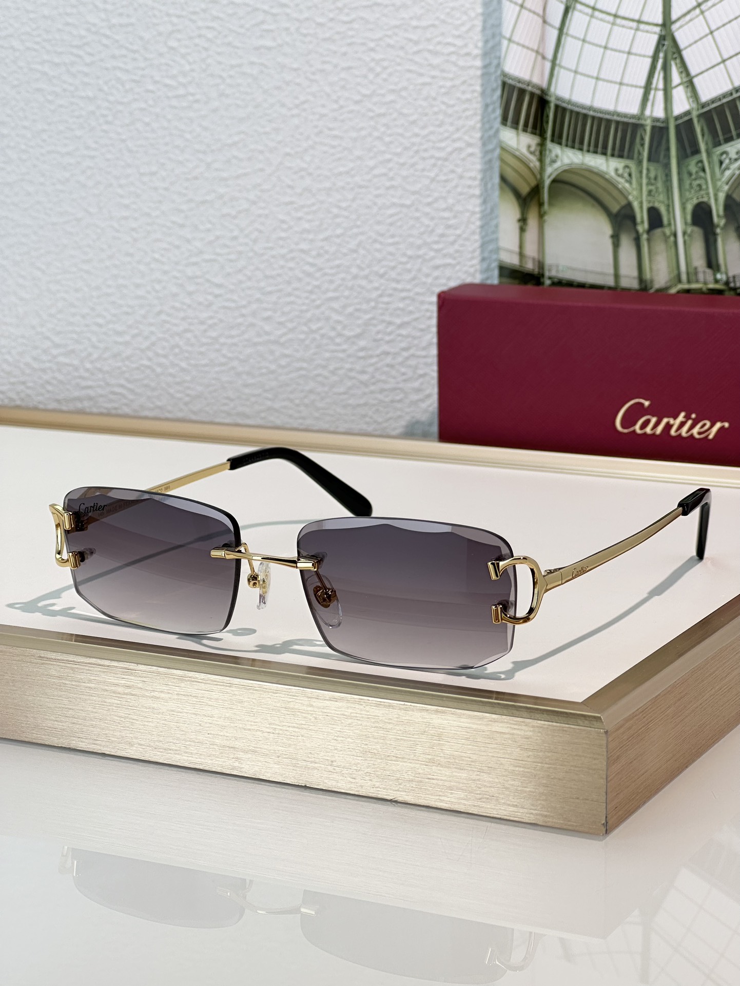 Designer Sunglasses CT0092O