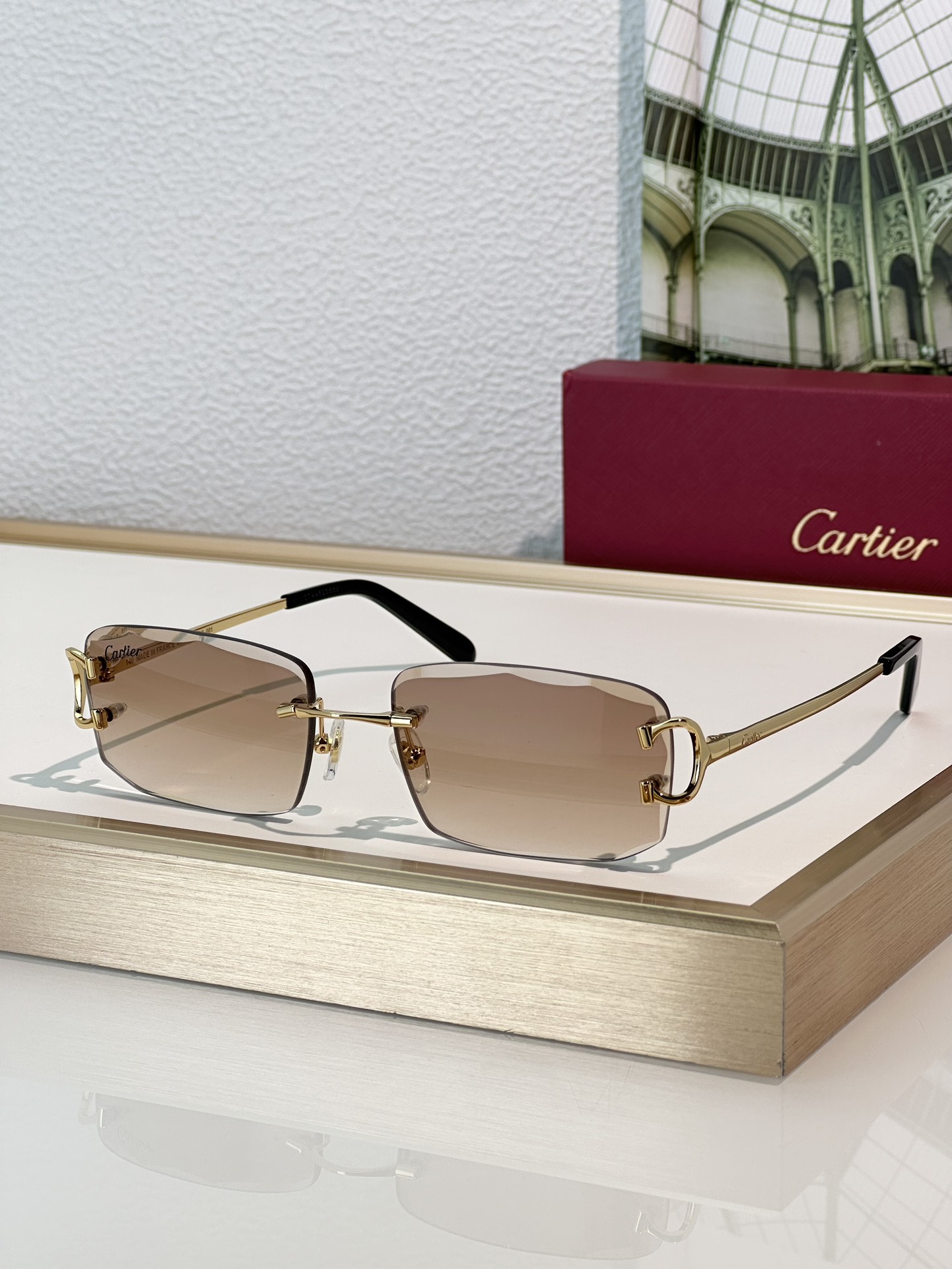 Designer Sunglasses CT0092O