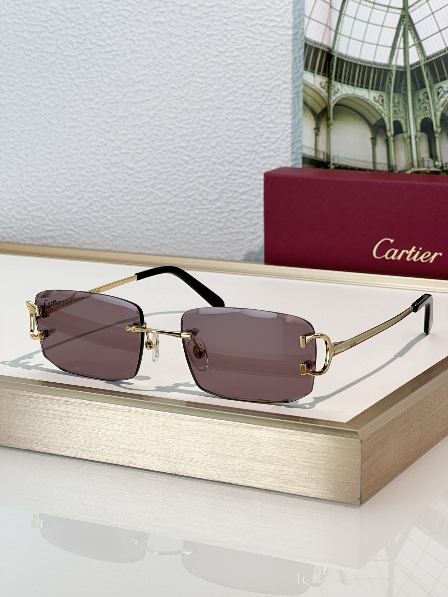 Designer Sunglasses CT0092O