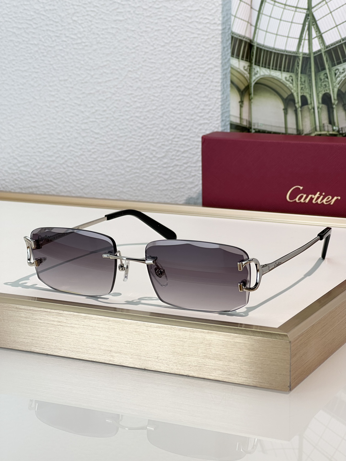 Designer Sunglasses CT0092O