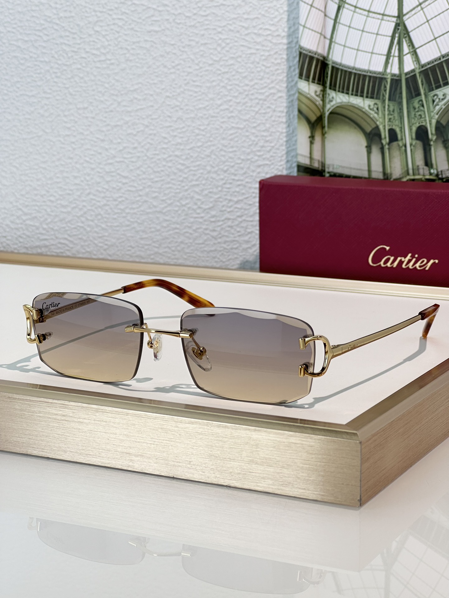 Designer Sunglasses CT0092O