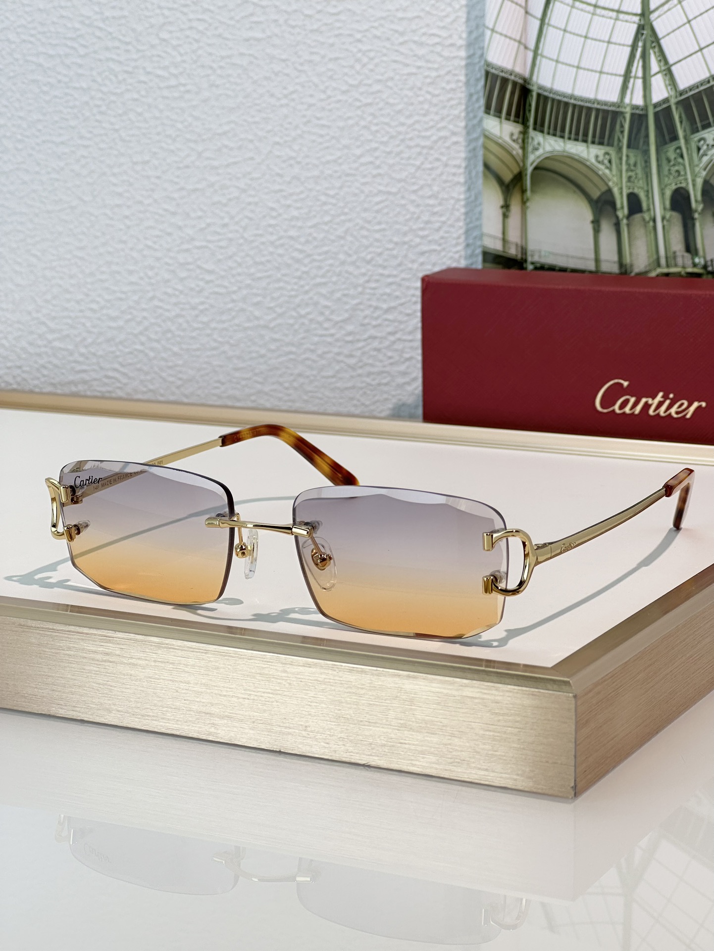 Designer Sunglasses CT0092O