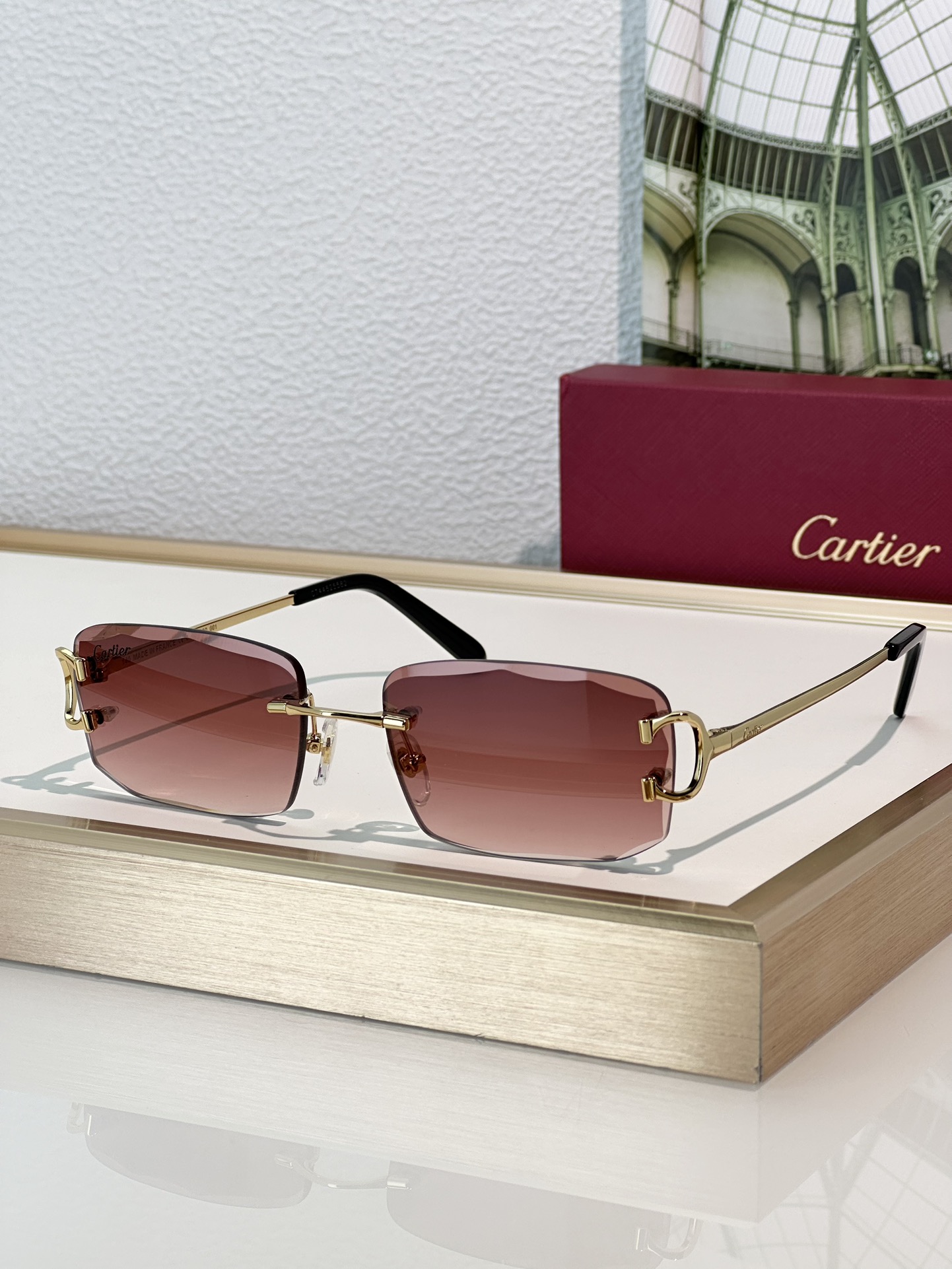 Designer Sunglasses CT0092O