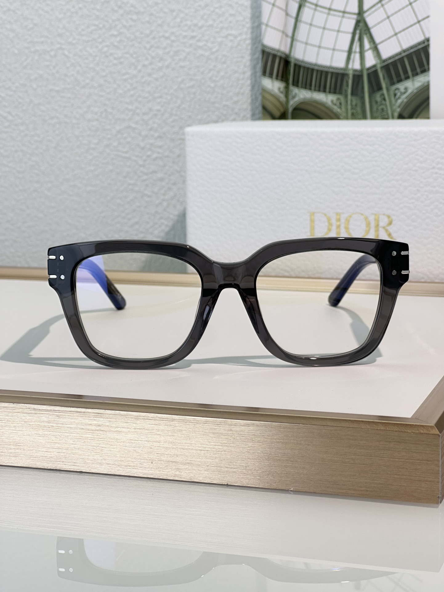 Designer Sunglasses Signature