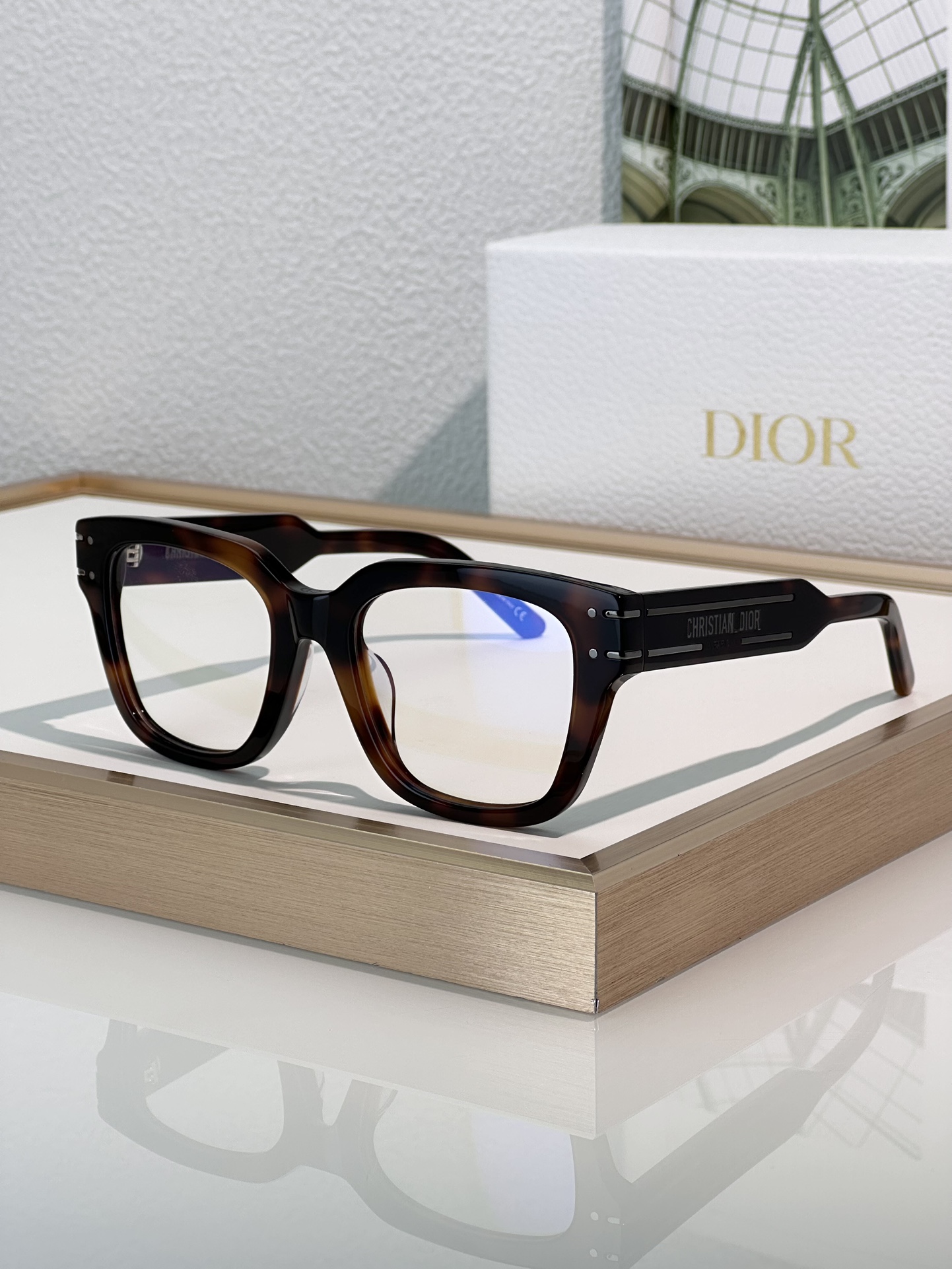 Designer Sunglasses Signature