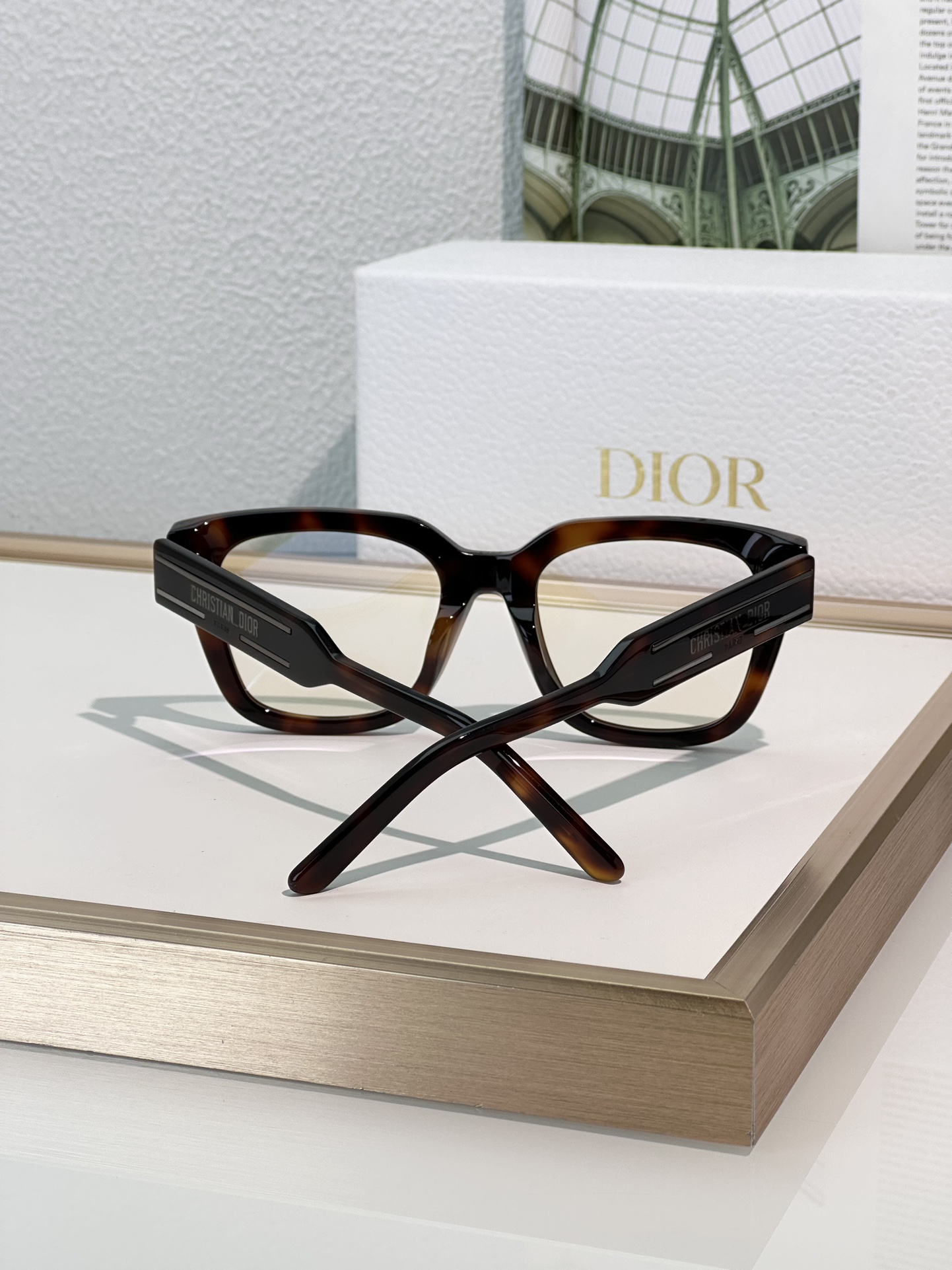 Designer Sunglasses Signature