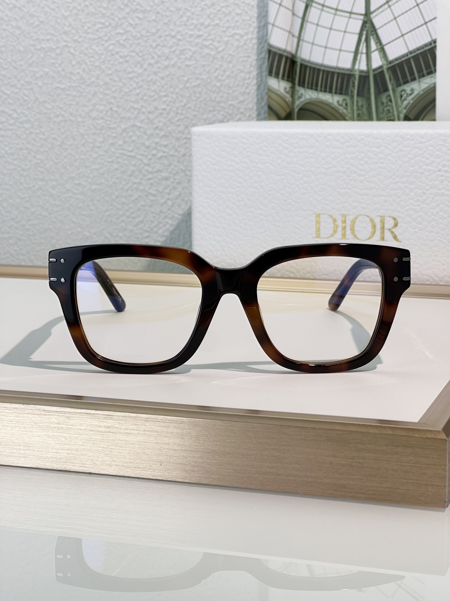 Designer Sunglasses Signature