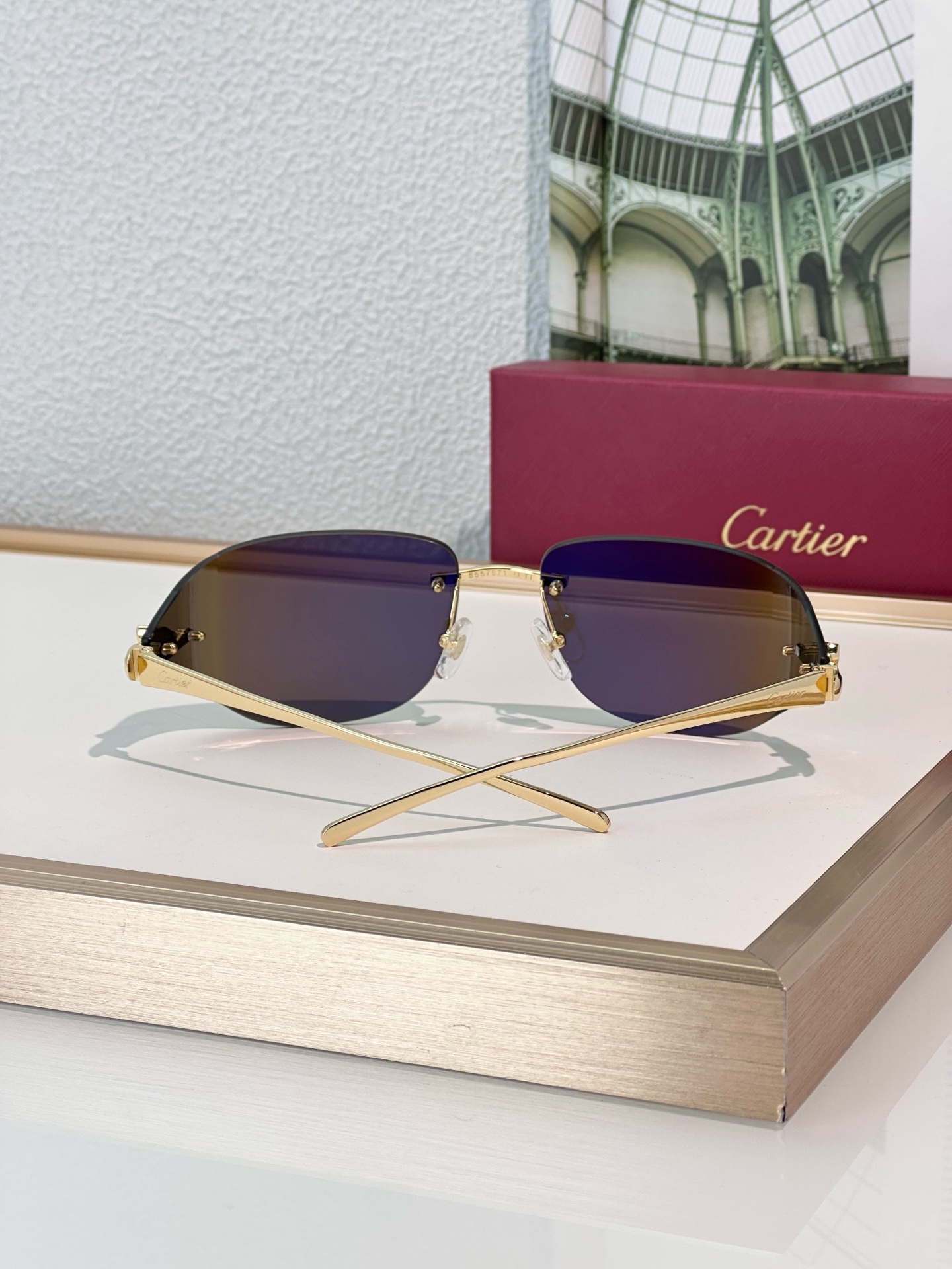 Designer Sunglasses CT0068S