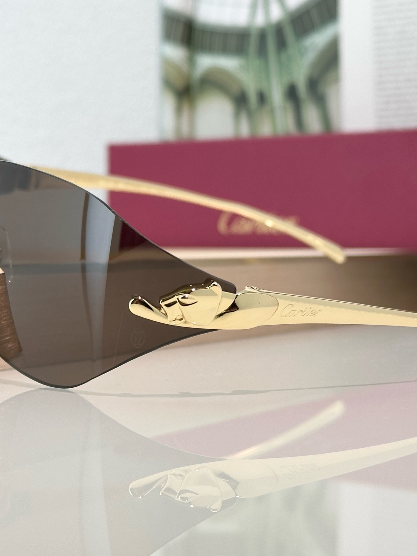 Designer Sunglasses CT0068S