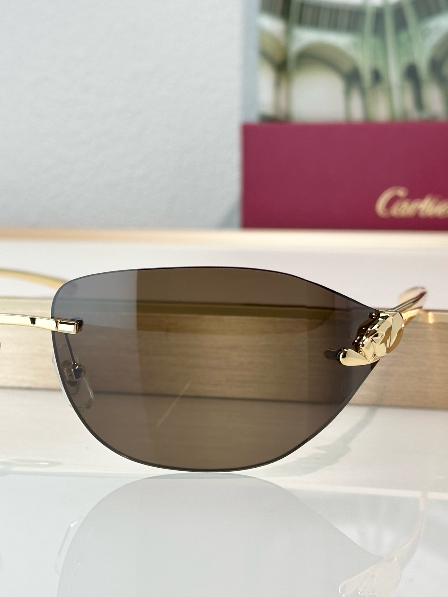 Designer Sunglasses CT0068S