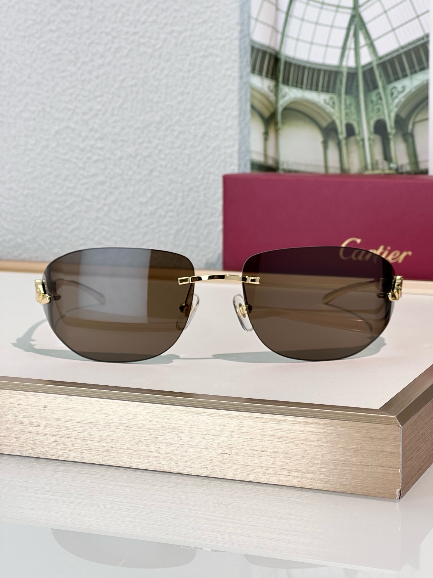 Designer Sunglasses CT0068S