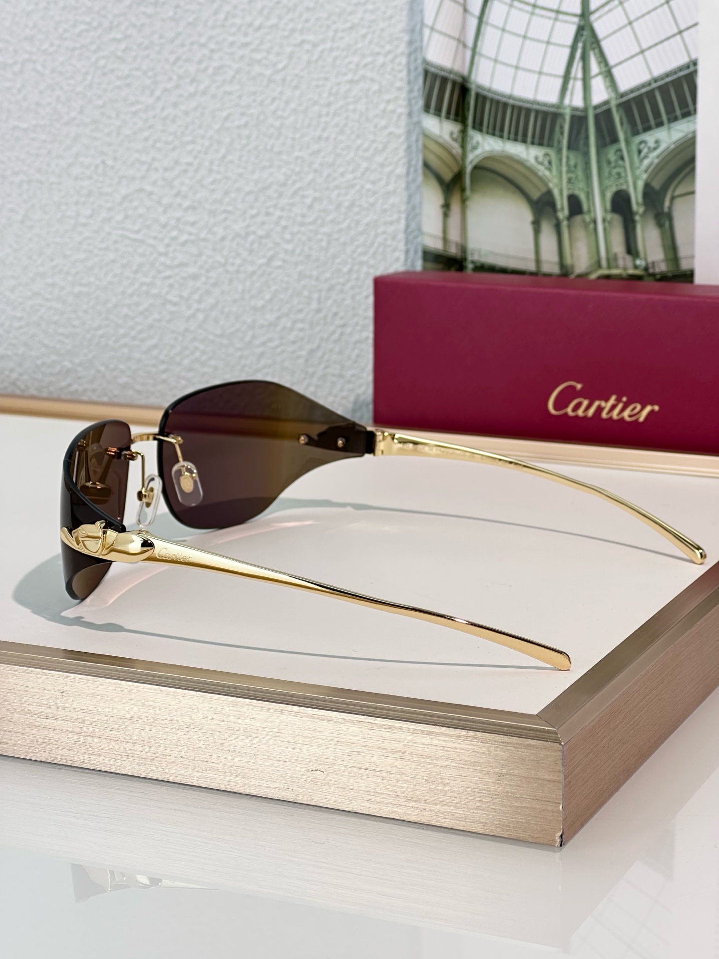 Designer Sunglasses CT0068S