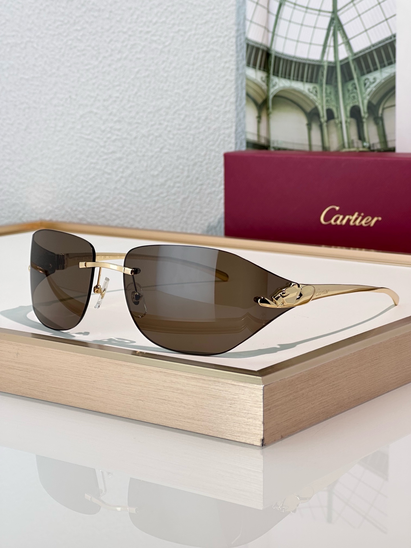 Designer Sunglasses CT0068S