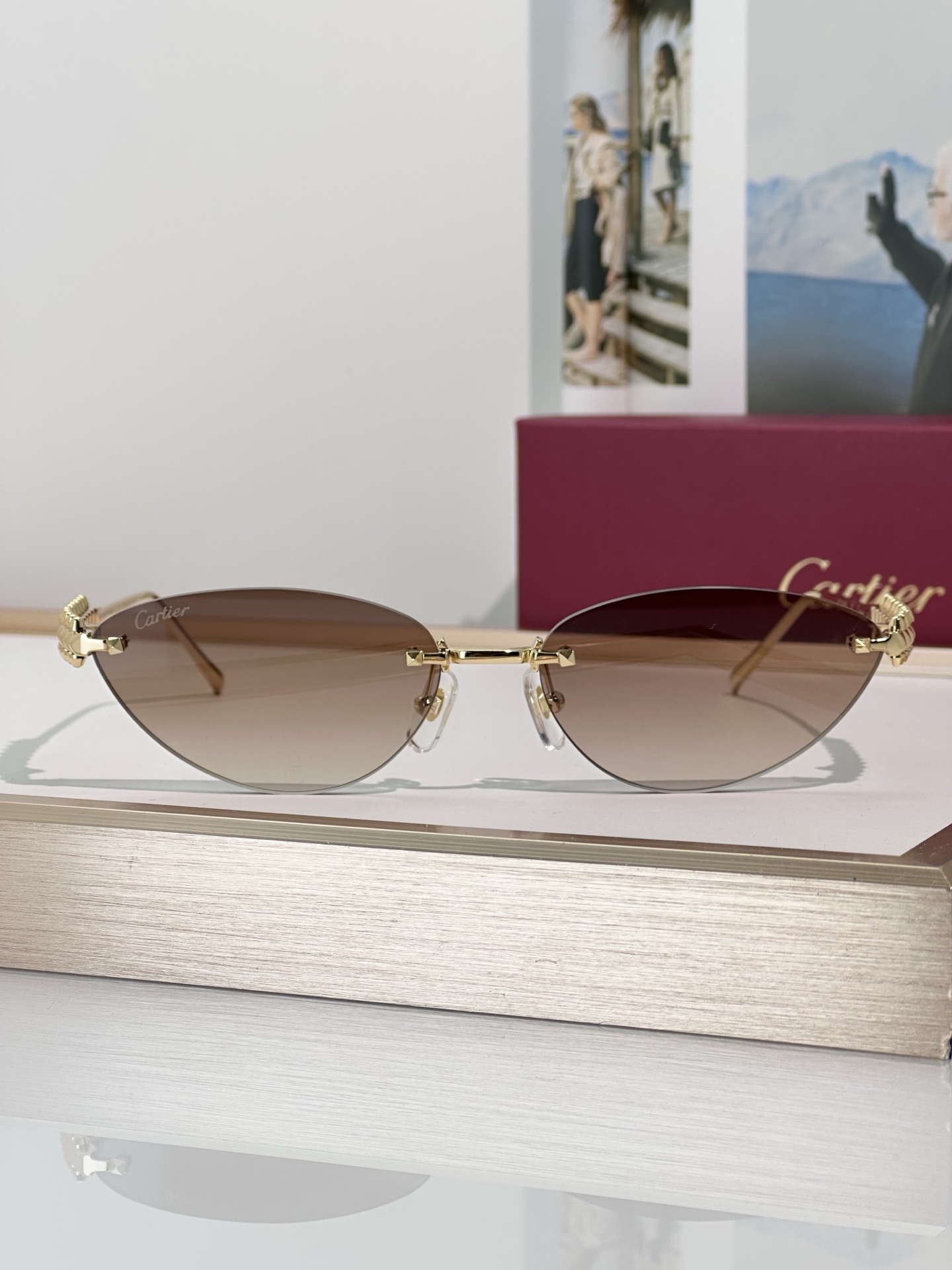 Designer Sunglasses CT0543S