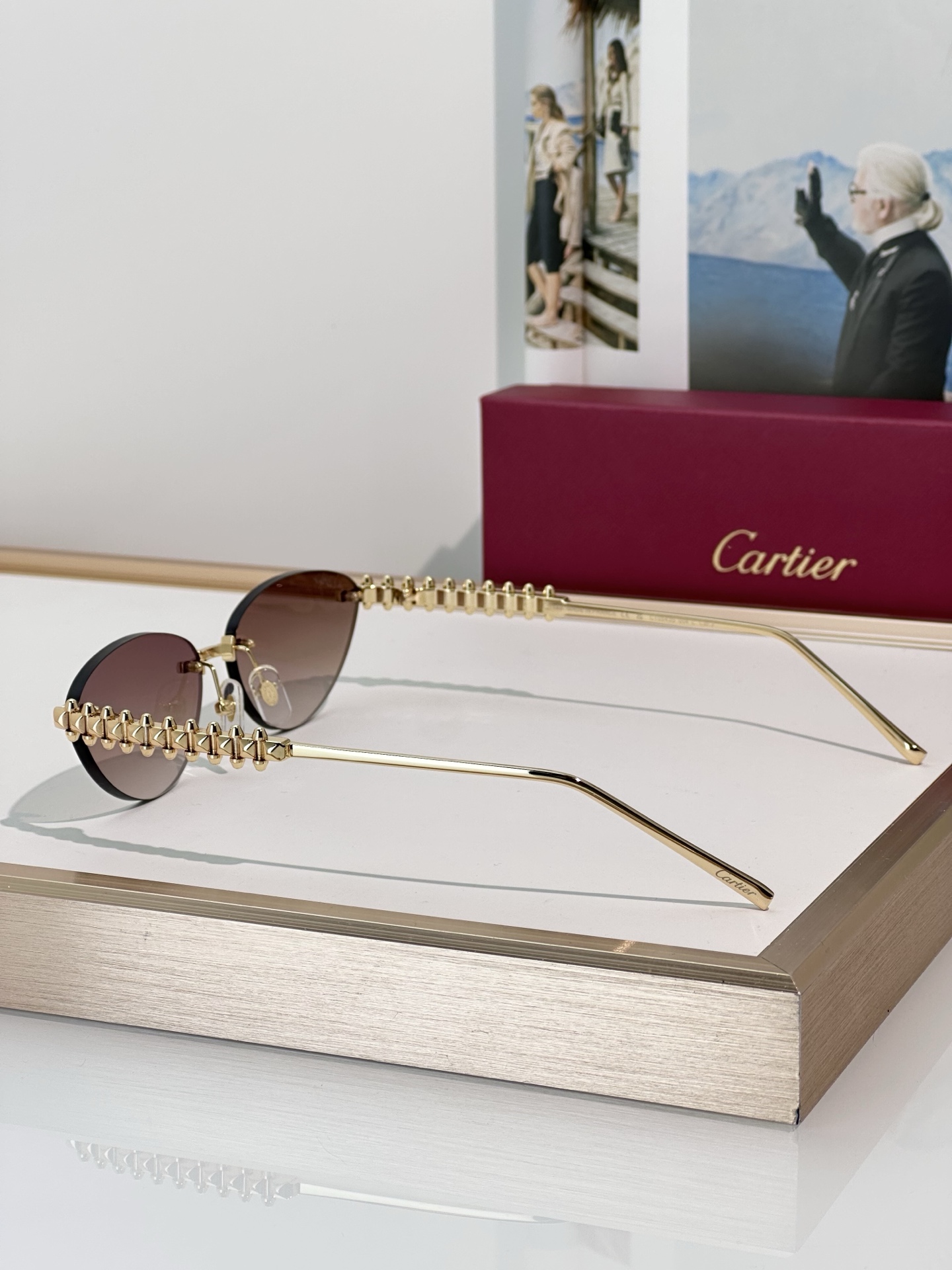 Designer Sunglasses CT0543S