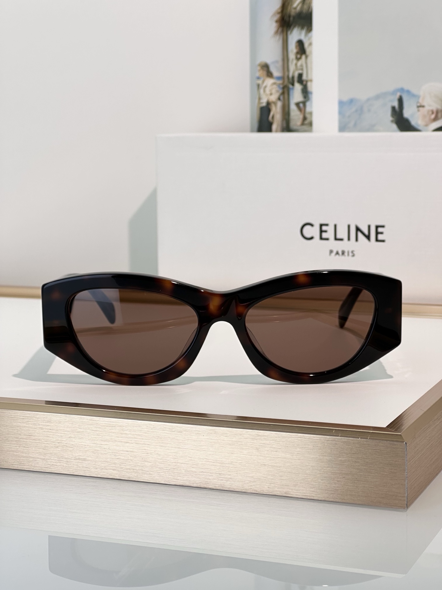 Designer Sunglasses CL40308