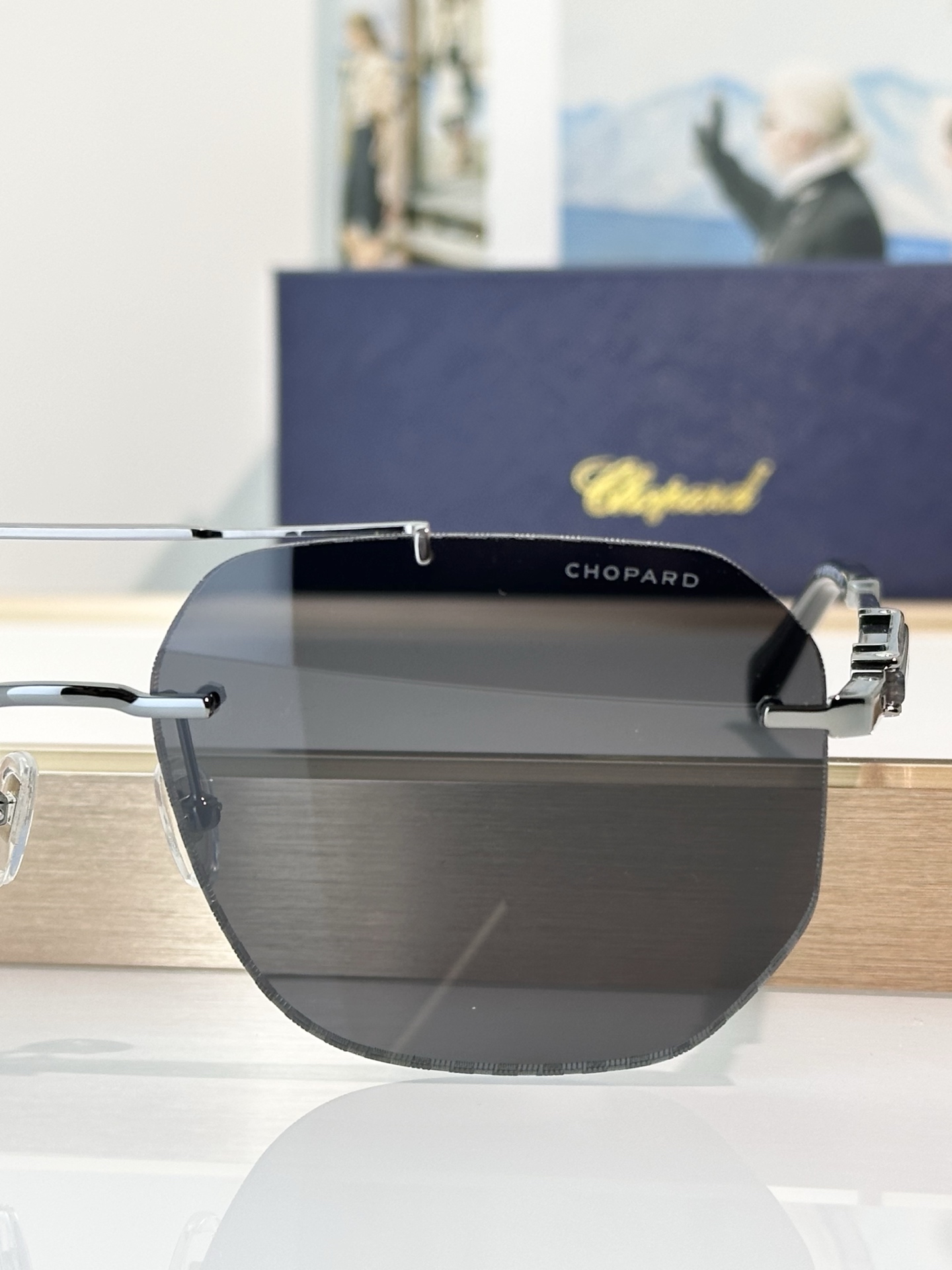 Designer Sunglasses SCHL53