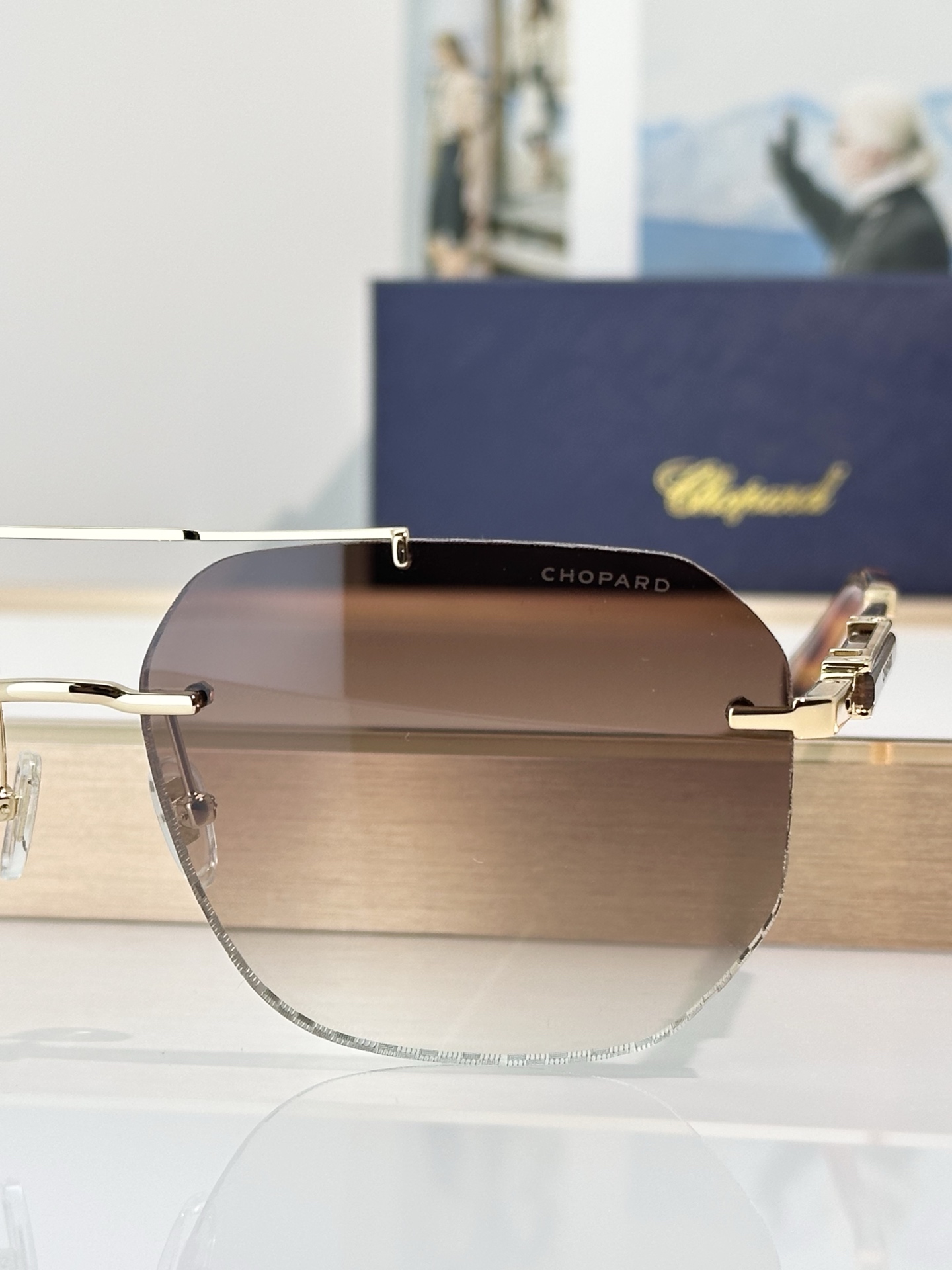 Designer Sunglasses SCHL53