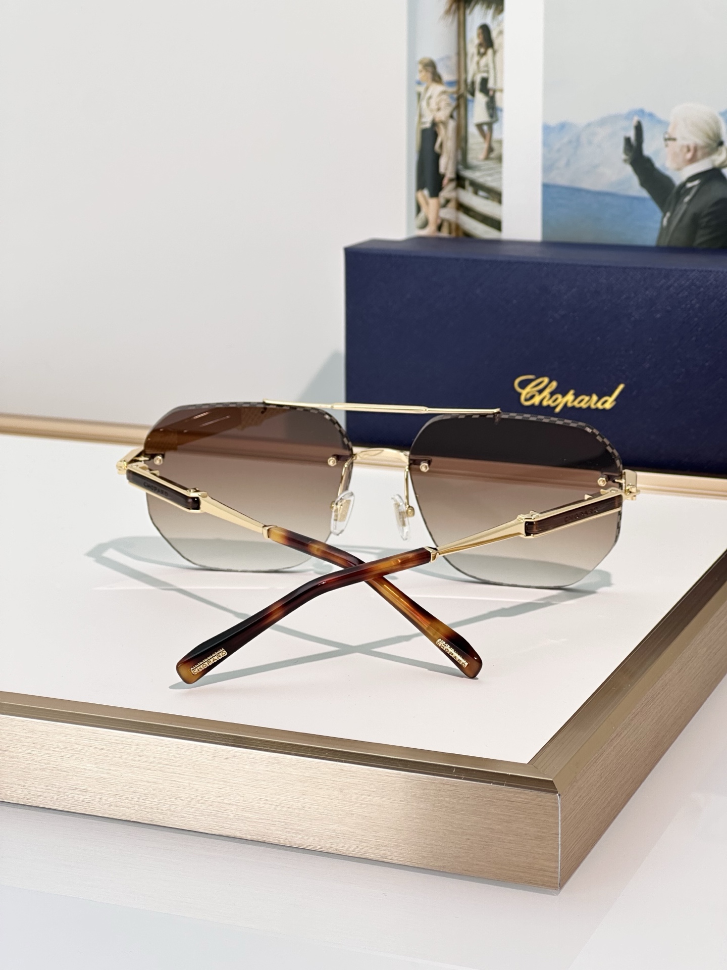 Designer Sunglasses SCHL53