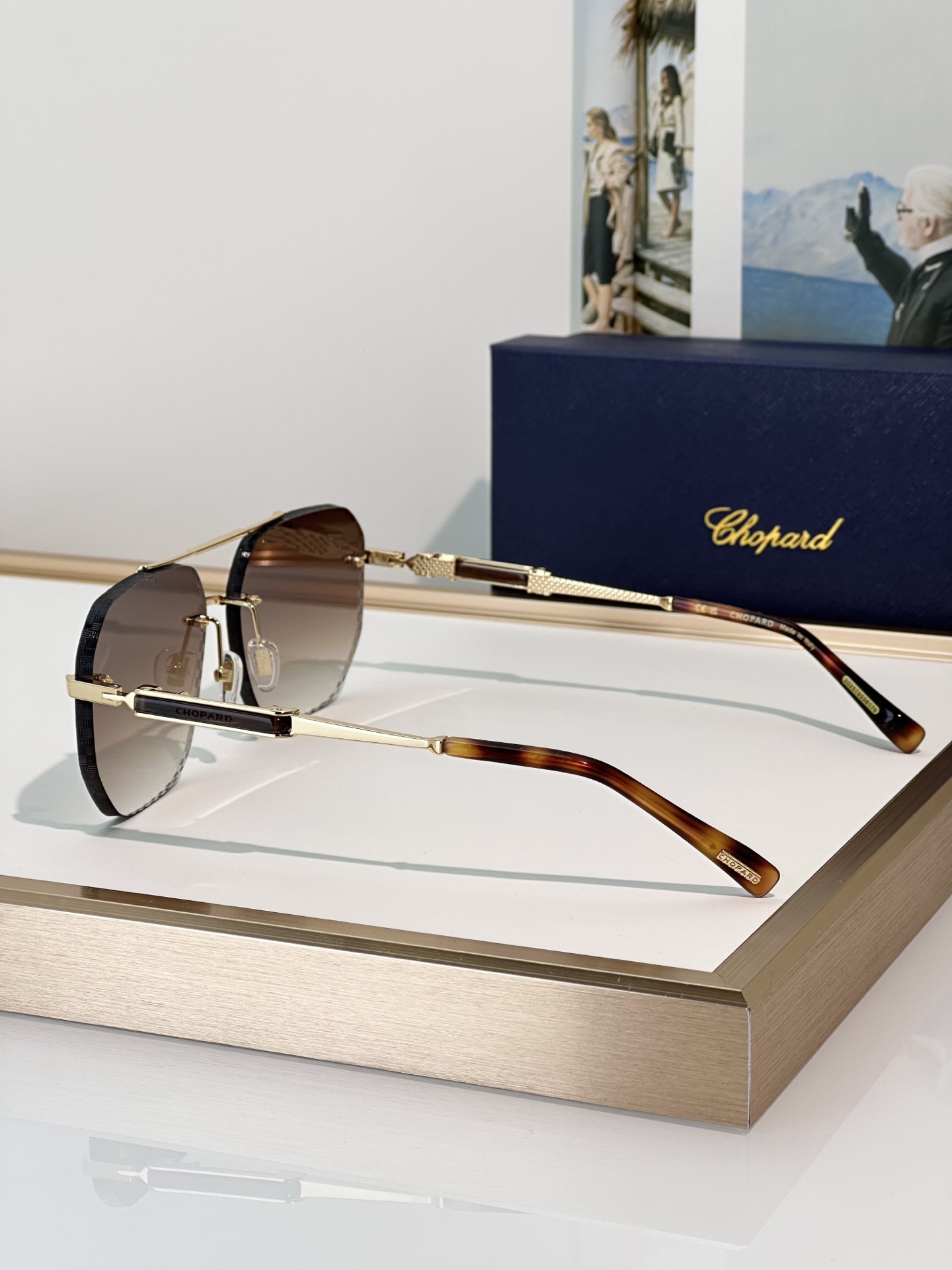 Designer Sunglasses SCHL53